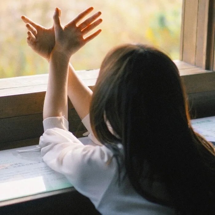 做家务的男人第四季